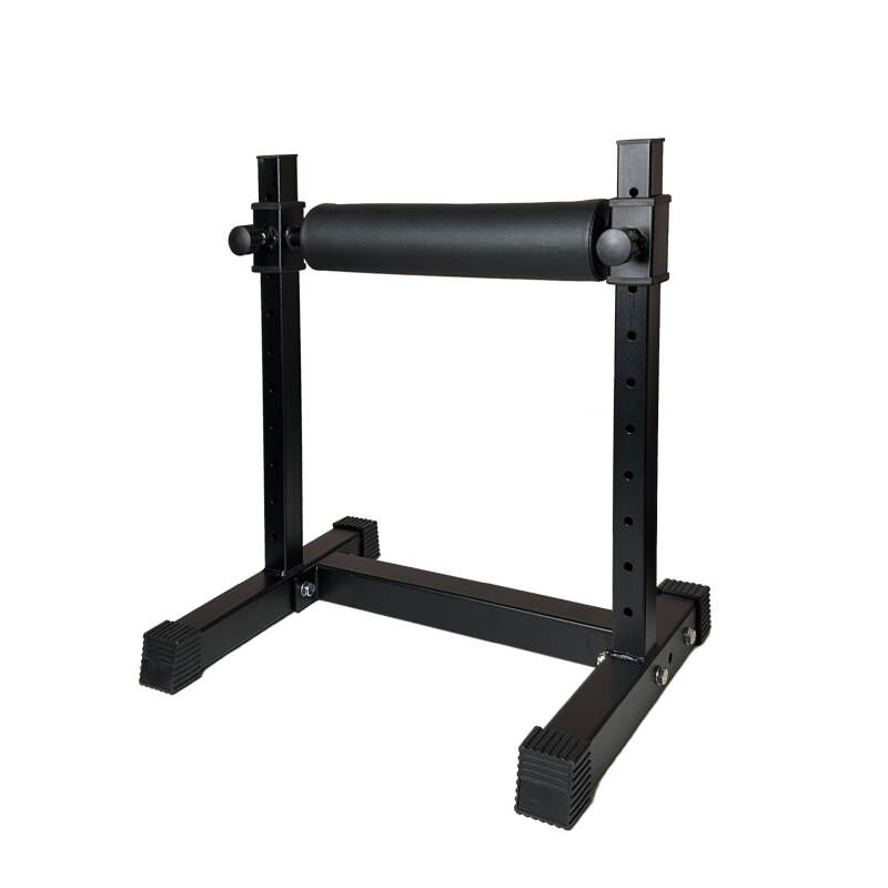 Home Gym Design - Adjustable Single Leg Squat Stand -