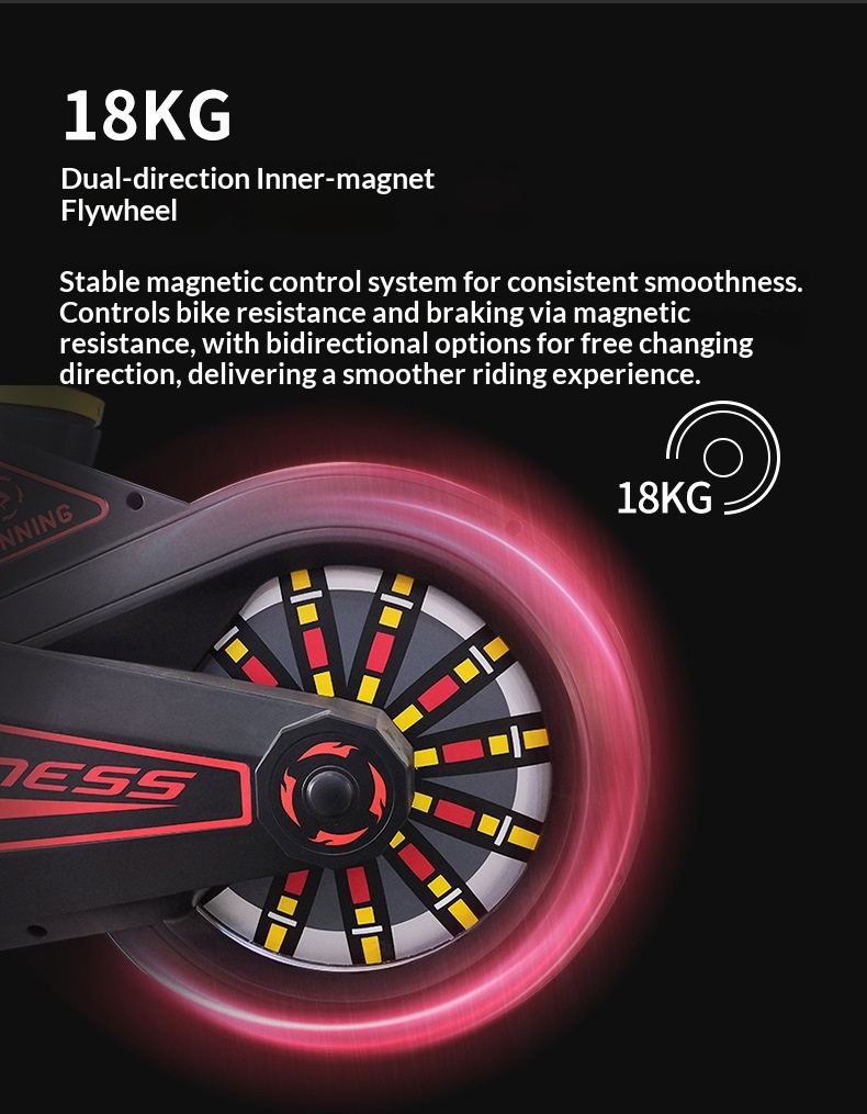 Belt-Drive Magnetic Spin Bike  - огляд і ціна Home Gym Luxury Design
